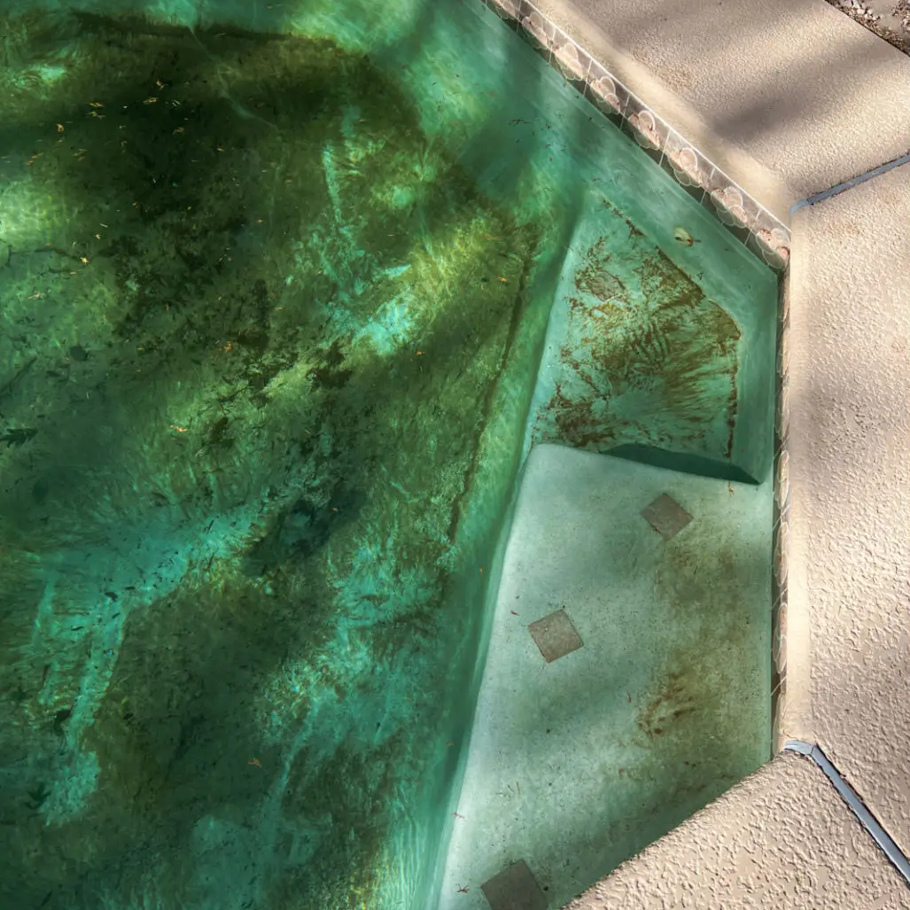 Dirty swimming pool with green water